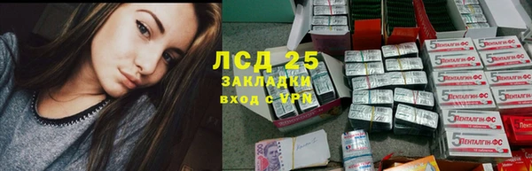 СК Беломорск